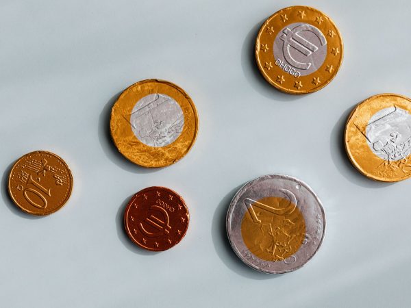 Vizsla Silver Corp earnings