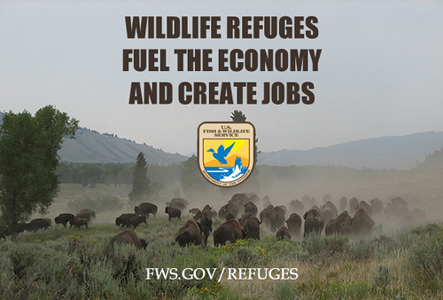jobs report impact
