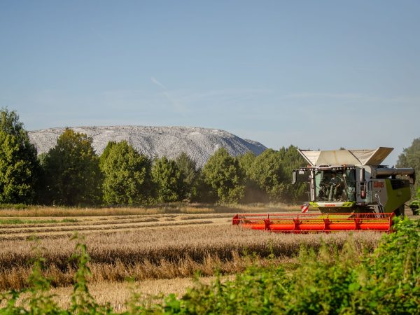 Mowi quarterly harvest