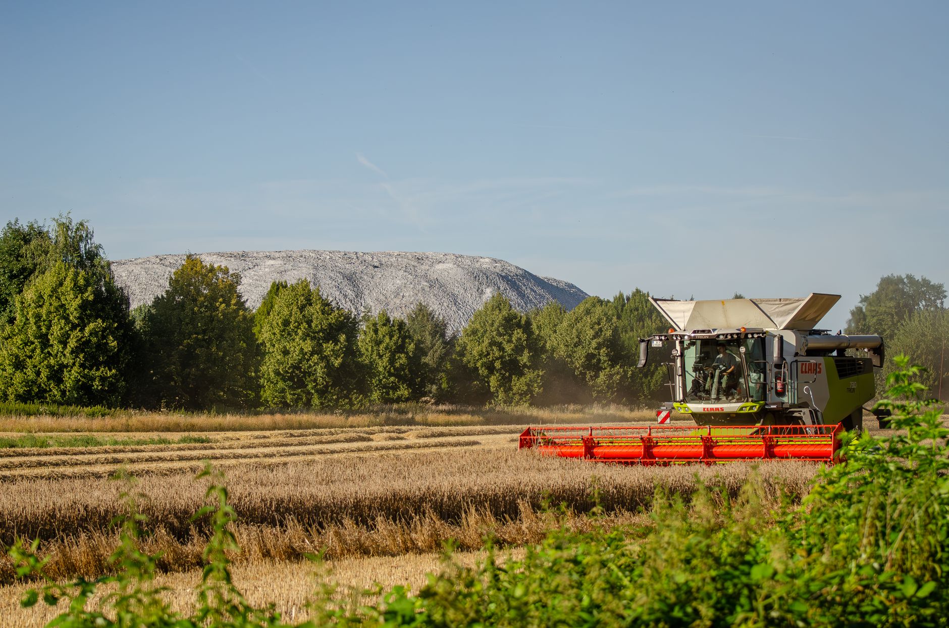 Mowi quarterly harvest