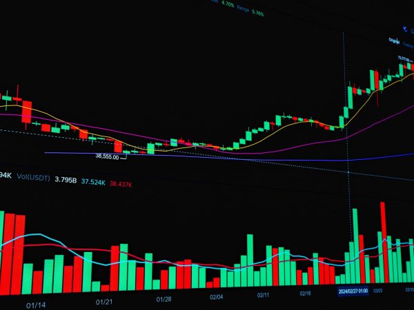 Tasmea stock growth