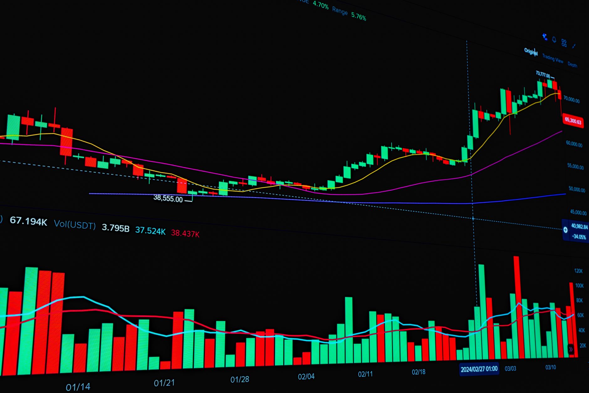 Tasmea stock growth